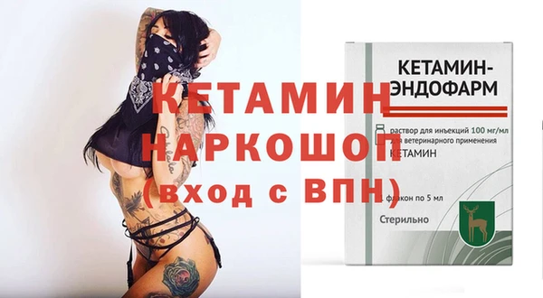 хмурый Дмитровск