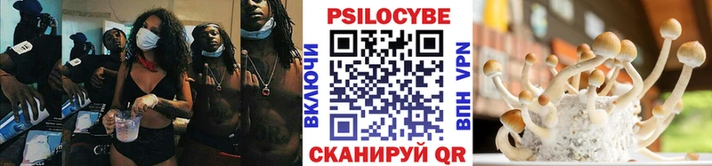 Псилоцибиновые грибы MAGIC MUSHROOMS  сколько стоит  Цивильск 