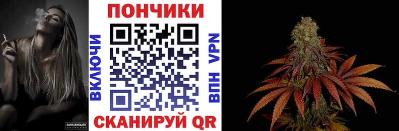 Канабис сатива  MEGA ТОР  Цивильск  сколько стоит 